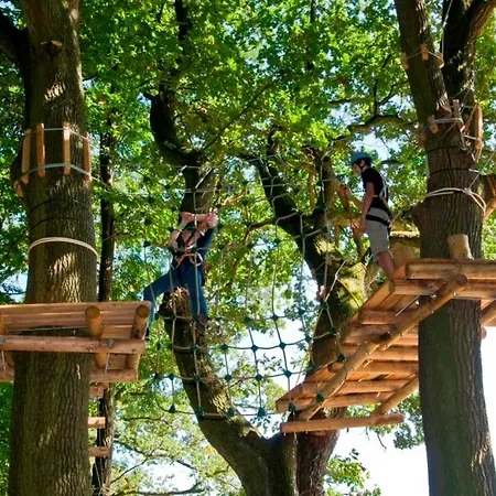 Sonn-alm Chalet-apartments Апартаменты