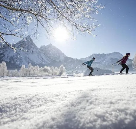 Sonn-alm Chalet-apartments *