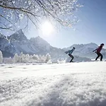 Sonn-alm Chalet-apartments *